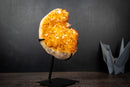 Golden Citrine Crystal Flower Cluster on Stand – Deep Yellow Druzy Specimen (7.3 lb | 3.3 kg)