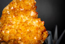 Golden Citrine Crystal Flower Cluster on Stand – Deep Yellow Druzy Specimen (7.3 lb | 3.3 kg)
