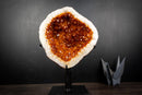 AAA-Grade, All-Natural Wood Citrine Geode with Sparkling Orange Crystal Points (9.6 lb | 4.4 kg)