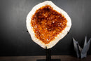 AAA-Grade, All-Natural Wood Citrine Geode with Sparkling Orange Crystal Points (9.6 lb | 4.4 kg)