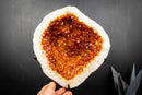 AAA-Grade, All-Natural Wood Citrine Geode with Sparkling Orange Crystal Points (9.6 lb | 4.4 kg)