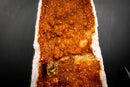 Large AAA Citrine Cathedral Geode – Fiery Orange Crystal Druzy, Super Extra Collector Specimen (52 lb | 24 kg)