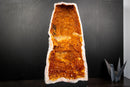Large AAA Citrine Cathedral Geode – Fiery Orange Druzy, Super Extra Collector Crystal (52 lb | 24 kg)