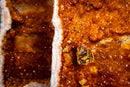 Large Pair of AAA Citrine Cathedral Geodes – Fiery Orange Crystal Druzy, Super Extra Collector Specimens (102 lb | 46 kg)