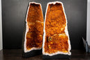 Large Pair of AAA Citrine Cathedral Geodes – Fiery Orange Crystal Druzy, Super Extra Collector Specimens (102 lb | 46 kg)