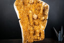 Natural Orange Citrine with Stalactite Rosettes And Calcite Flowers - 5.7 Kg - 12.6 lb
