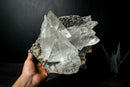 Large Water-Clear Gypsum var. Selenite Crystal Cluster on Matrix – Santa Lúcia, Brazil – Collector-Grade