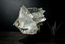 Large Water-Clear Gypsum var. Selenite Crystal Cluster on Matrix – Santa Lúcia, Brazil – Collector-Grade