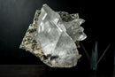 Large Water-Clear Gypsum var. Selenite Crystal Cluster on Matrix – Santa Lúcia, Brazil – Collector-Grade