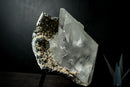 Large Water-Clear Gypsum var. Selenite Crystal Cluster on Matrix – Santa Lúcia, Brazil – Collector-Grade