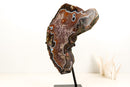 Rare Black and White Lace Agate Slice with Red Amethyst Druzy & Natural Agate Eyes – Large Collector Specimen on Stand