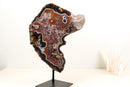 Rare Black and White Lace Agate Slice with Red Amethyst Druzy & Natural Agate Eyes – Large Collector Specimen on Stand