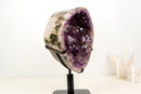 High-Grade Deep Purple Amethyst Geode Cave on Stand – Large Crystal Points, Collector Specimen from Brazil | 7.3 Kg - 16.1 lb