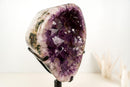 High-Grade Deep Purple Amethyst Geode Cave on Stand – Large Crystal Points, Collector Specimen from Brazil | 7.3 Kg - 16.1 lb