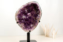 High-Grade Deep Purple Amethyst Geode Cave on Stand – Large Crystal Points, Collector Specimen from Brazil | 7.3 Kg - 16.1 lb