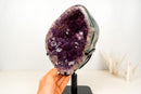 High-Grade Deep Purple Amethyst Geode Cave on Stand – Large Crystal Points, Collector Specimen from Brazil | 7.3 Kg - 16.1 lb