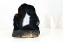 Rare Undyed Black Lace Agate Geode with White Agate Center – Natural Brazilian Collector Specimen (7.5 in | 6.6 lb)