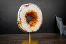Golden Orange Citrine Portal Geode with Polished White Agate Border – Crystal on Custom Stand (5lb)
