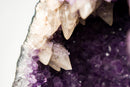 Intact Brazilian Amethyst Geode with Calcite Formations – Natural Collector Specimen, No Cement (10 In - 18.1 Lb)