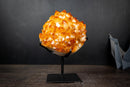 Large Golden Citrine Flower Crystal Cluster on Stand – Deep Yellow Druzy Specimen (11 lb | 5 kg)