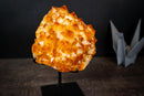 Large Golden Citrine Flower Crystal Cluster on Stand – Deep Yellow Druzy Specimen (11 lb | 5 kg)