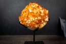 Large Golden Citrine Flower Crystal Cluster on Stand – Deep Yellow Druzy Specimen (11 lb | 5 kg)