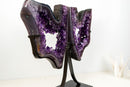 Spectacular AAA-Grade Brazilian Amethyst Geode Butterfly Wings Pair on Stand – Grape Jelly Collector Specimen (Large: 21 In - 40.2 Lb)