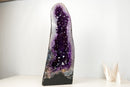 AAA-Grade Royal Purple Amethyst Cathedral Geode – Large Gemmy Crystal Points & Polished Agate Back (55 Lb / 27 in)