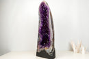 AAA-Grade Royal Purple Amethyst Cathedral Geode – Large Gemmy Crystal Points & Polished Agate Back (55 Lb / 27 in)