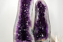 Pair of Large AAA-Grade Amethyst Cathedral Geodes – Royal Purple Gemmy Crystals & Polished Agate Backs (113 Lb / 52 Kg)