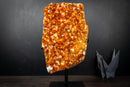 Large Golden Orange Citrine Crystal Cluster – AAA-Grade Druzy Specimen on Stand (19 lb | 8.55 kg)