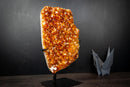 Large Golden Orange Citrine Crystal Cluster – AAA-Grade Druzy Specimen on Stand (19 lb | 8.55 kg)