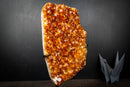 Large Golden Orange Citrine Crystal Cluster – AAA-Grade Druzy Specimen on Stand (19 lb | 8.55 kg)