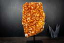 Large Golden Orange Citrine Crystal Cluster – AAA-Grade Druzy Specimen on Stand (19 lb | 8.55 kg)