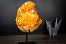 Golden Citrine Crystal Flower Cluster on Stand – Deep Yellow Druzy Specimen (7.3 lb | 3.3 kg)