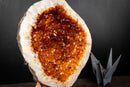 AAA-Grade, All-Natural Wood Citrine Geode with Sparkling Orange Crystal Points (9.6 lb | 4.4 kg)
