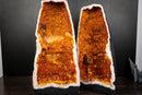 Large Pair of AAA Citrine Cathedral Geodes – Fiery Orange Crystal Druzy, Super Extra Collector Specimens (102 lb | 46 kg)