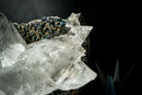 Large Water-Clear Gypsum var. Selenite Crystal Cluster on Matrix – Santa Lúcia, Brazil – Collector-Grade