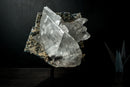Large Water-Clear Gypsum var. Selenite Crystal Cluster on Matrix – Santa Lúcia, Brazil – Collector-Grade