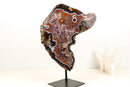 Rare Black and White Lace Agate Slice with Red Amethyst Druzy & Natural Agate Eyes – Large Collector Specimen on Stand
