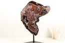 Rare Black and White Lace Agate Slice with Red Amethyst Druzy & Natural Agate Eyes – Large Collector Specimen on Stand