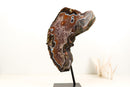 Rare Black and White Lace Agate Slice with Red Amethyst Druzy & Natural Agate Eyes – Large Collector Specimen on Stand