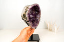 High-Grade Deep Purple Amethyst Geode Cave on Stand – Large Crystal Points, Collector Specimen from Brazil | 7.3 Kg - 16.1 lb