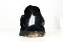 Rare Undyed Black Lace Agate Geode with White Agate Center – Natural Brazilian Collector Specimen (7.5 in | 6.6 lb)