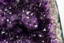 Small High-Grade Natural Amethyst Geode – Gemmy Violet Druzy, Agate Matrix & Stalactite Formation, 100% Natural / No Cement