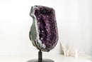 Rare Brazilian Amethyst Geode with Crown Formation – Gemmy Violet AAA Crystal on 360 Custom Stand (Large Size: 20.1 In - 60.2 Lb)