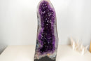AAA-Grade Royal Purple Amethyst Cathedral Geode – Large Gemmy Crystal Points & Polished Agate Back (55 Lb / 27 in)