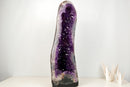 Large AAA-Grade Amethyst Cathedral Geode – Royal Purple Gemmy Crystals & Polished Agate Back (55 Lb / 27 in)