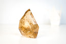Exceptional Natural Citrine Crystal Point – Genuine Unheated Honey-Gold Quartz with Internal Rainbows (1060g / 2.3 lb) - E2D Crystals & Minerals