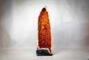 AAA-Grade Citrine Cathedral Geode – Madeira Orange Crystal Druzy, Large Tall Brazilian Specimen (165 Lb. - 75 Kg) - E2D Crystals & Minerals
